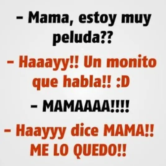 humor humor
