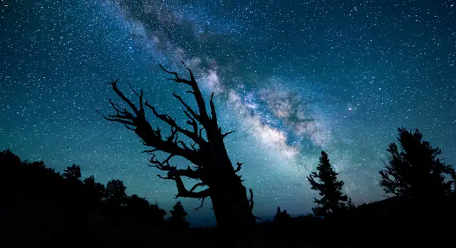 Universo