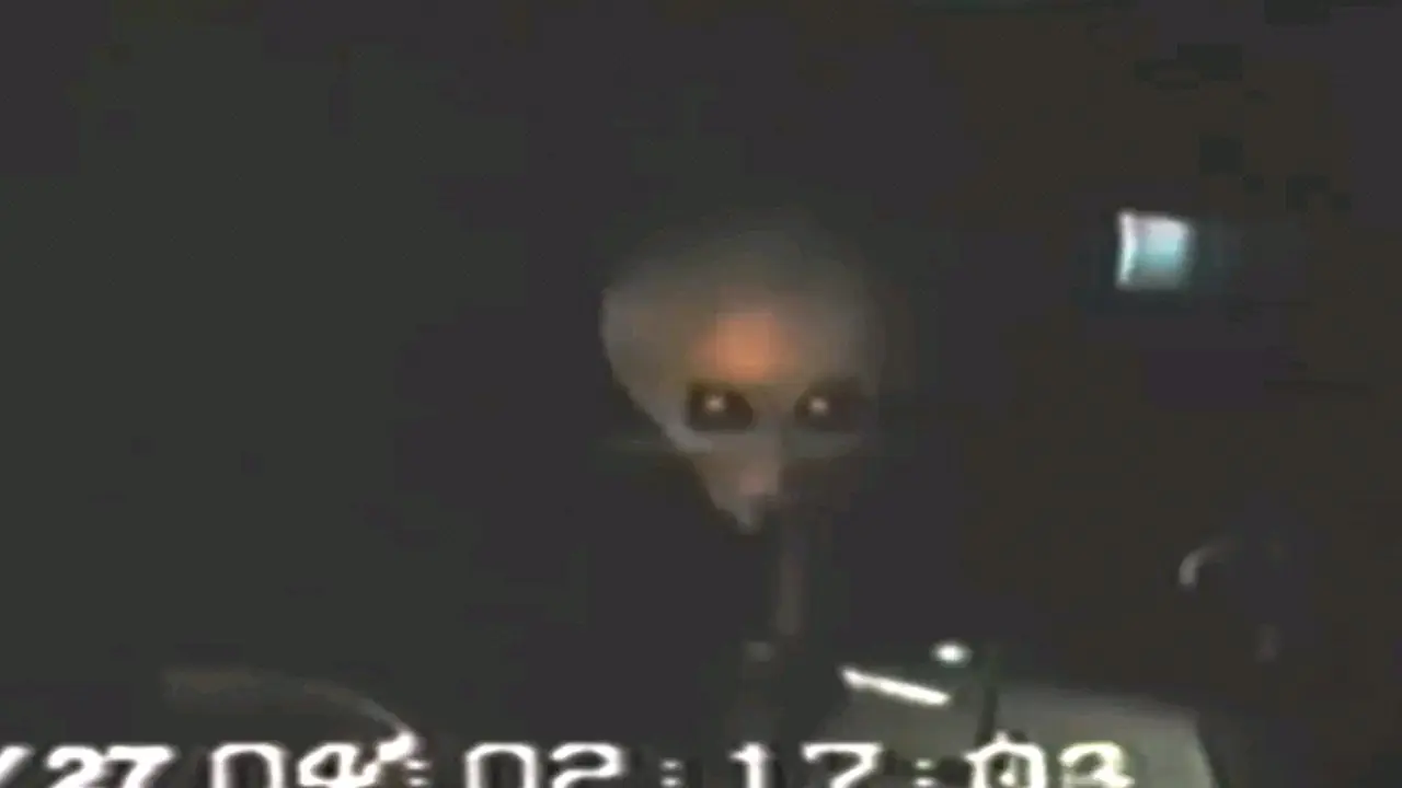 grises