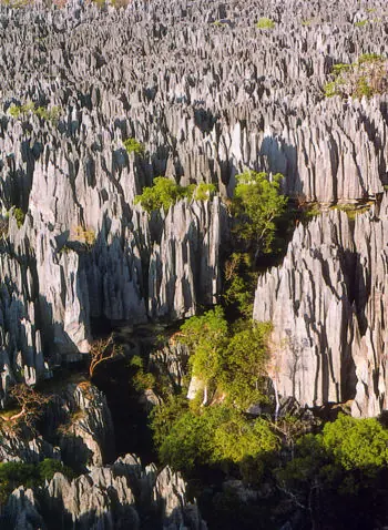 Madagascar ¿Lo conocias?