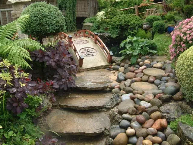 japon