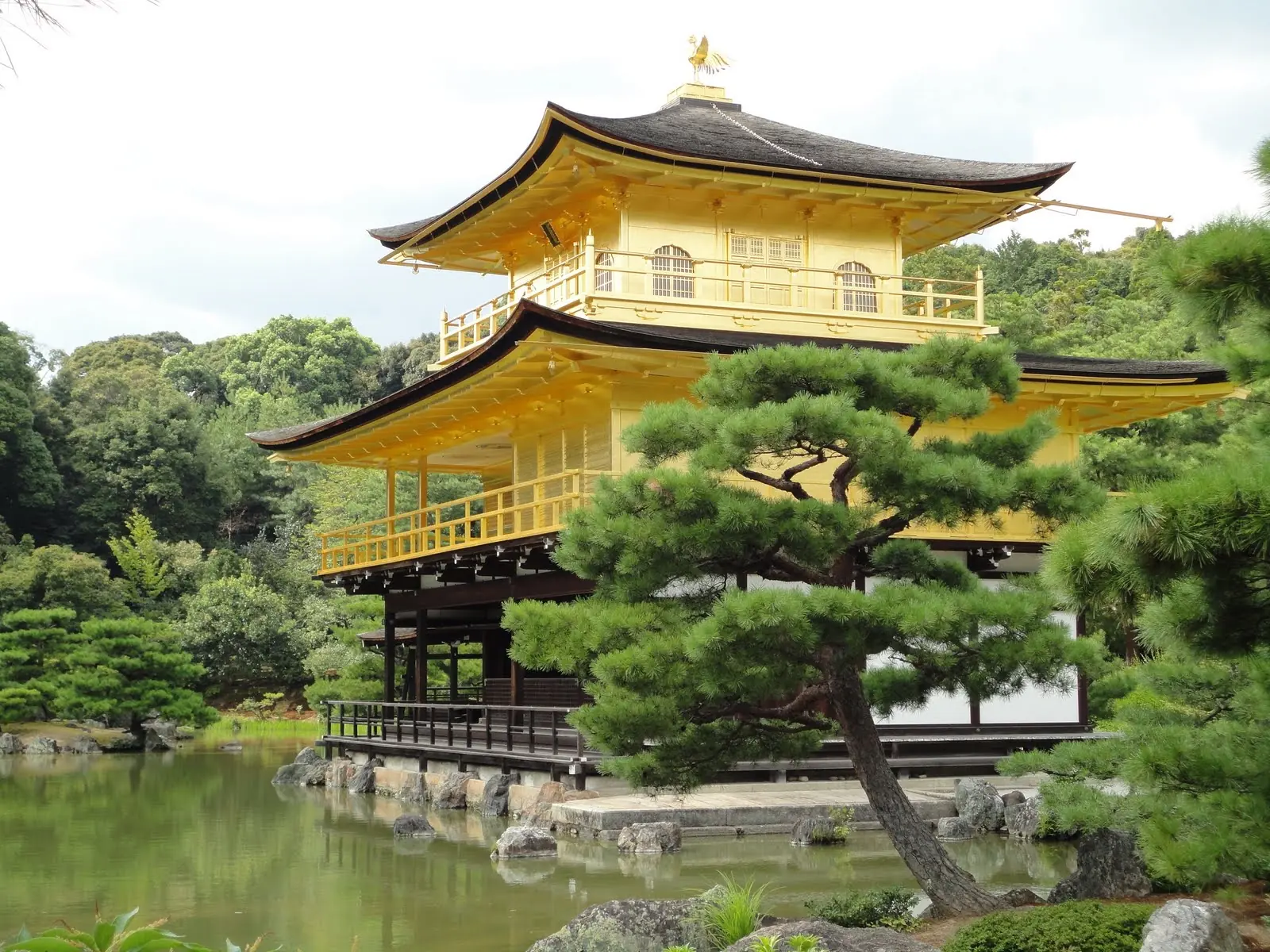 jardin japones