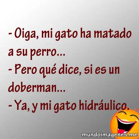 Los mejores chistes cortos que te sacarán una sonrisa Los mejores chistes cortos que te sacarán una sonrisa