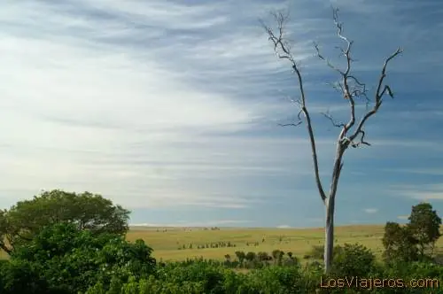 madagascar