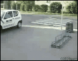 Gifs
