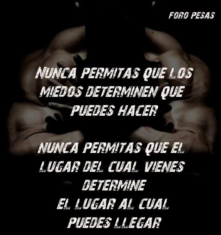 El Gimnasio...un Estilo de Vida