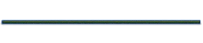 bonito