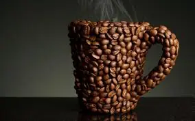 bebida bebida