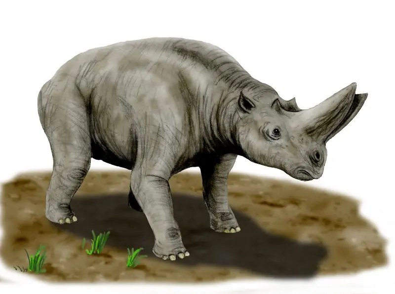 Animales prehistóricos (Parte 2)