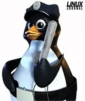 Seguridad bàsica (Users medium)