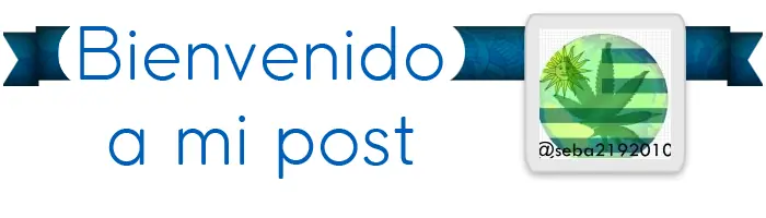 El auto de google que genero caos en el transito + bonus