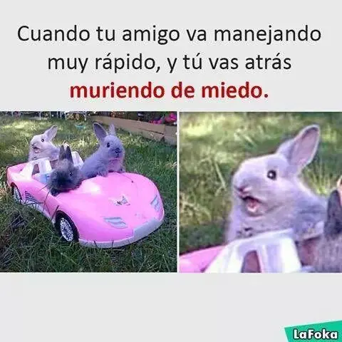 Martes loco lleno con el mejor crap de humor hecho por mi +5