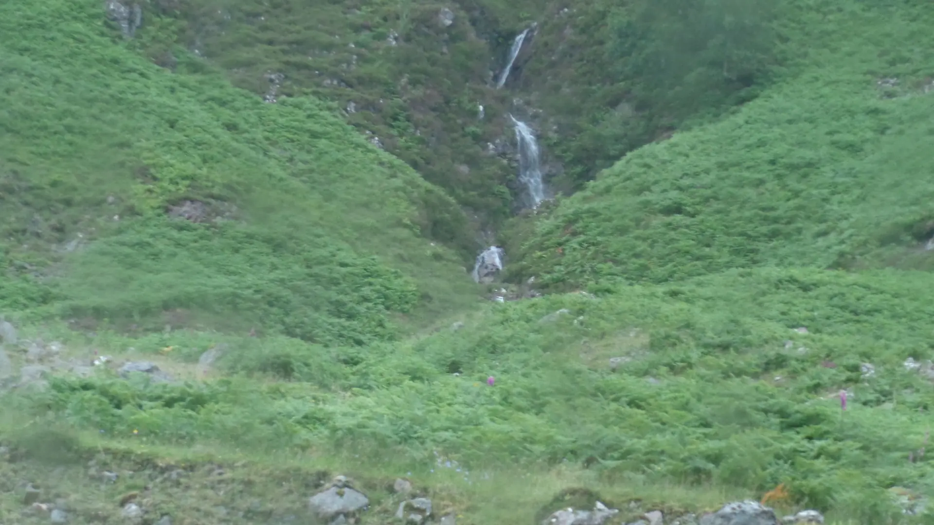 lago ness lago ness