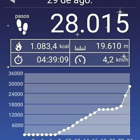 gimnasio gimnasio