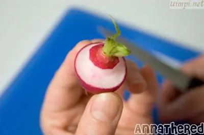 como hacer honguito mario