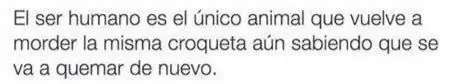 divertido