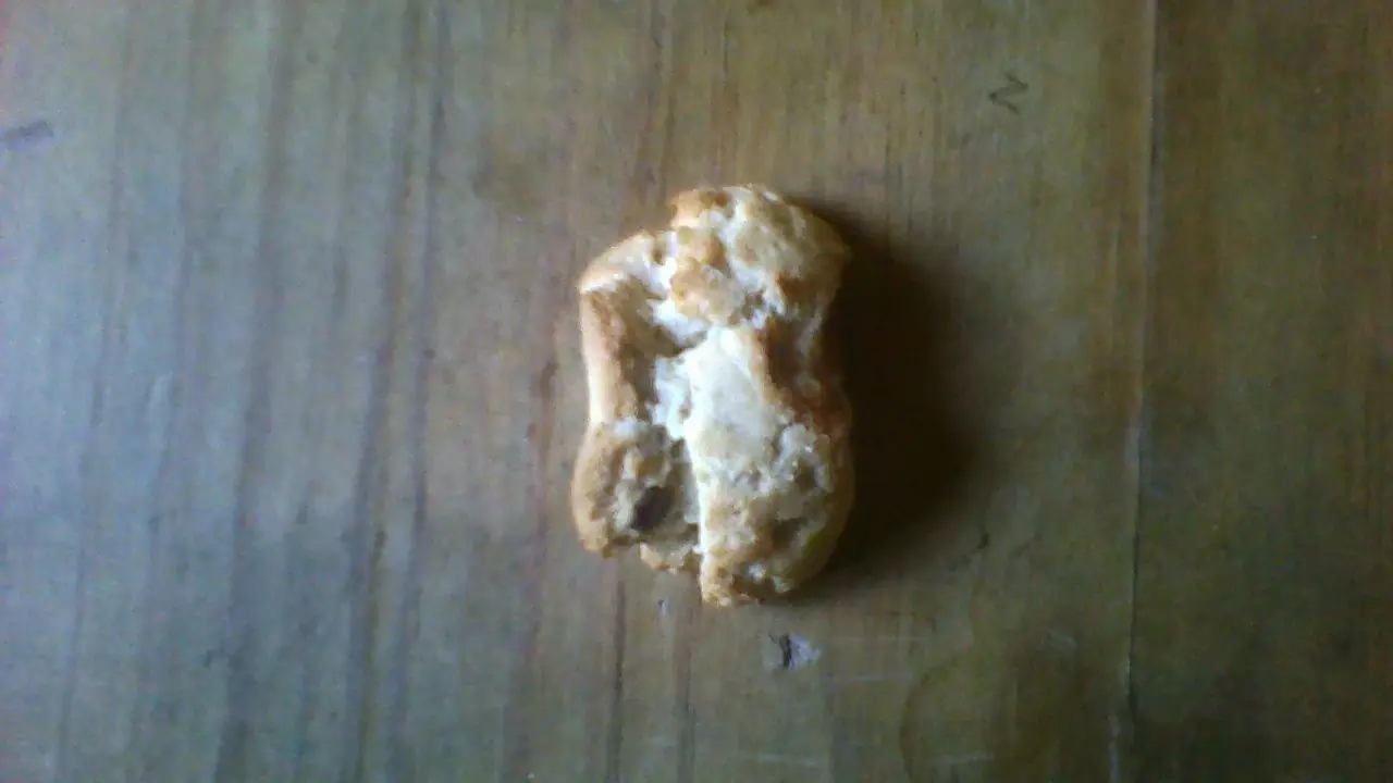 Encontre una galleta deforme en la bolsa