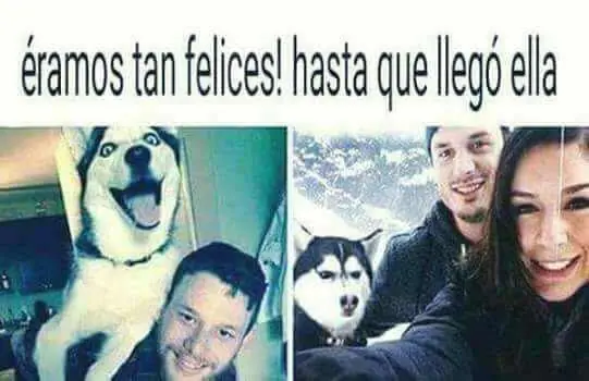 reir