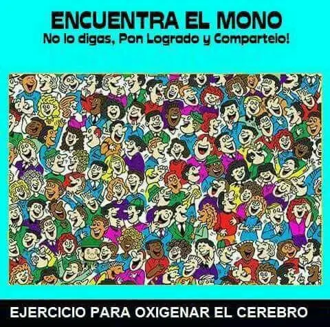 fotos