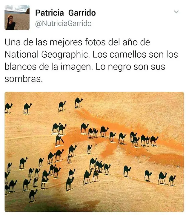 EMOCIONANTE