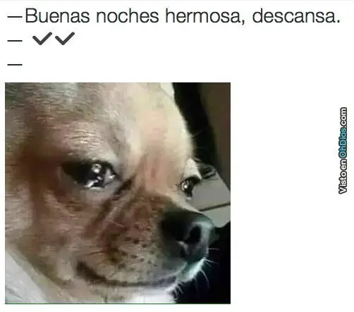 forever aloneee aloneee aloneee
