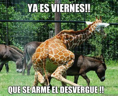 Humor malo y viejo, como mi abuelo 0.4