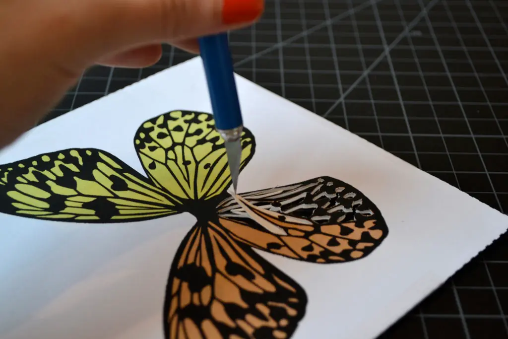 marco con mariposa de papel