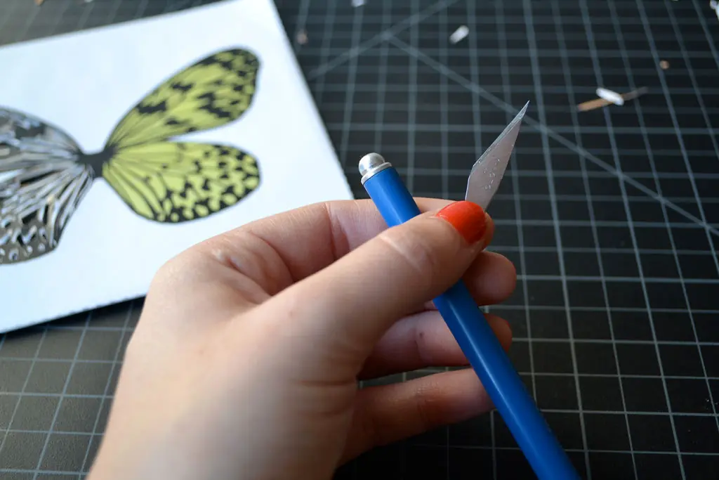 Regala una Mariposa