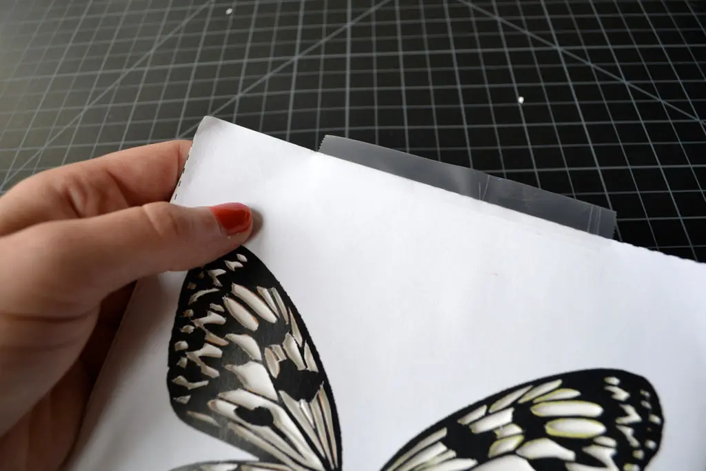 mariposa
