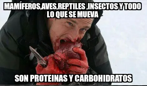 humor en imagines