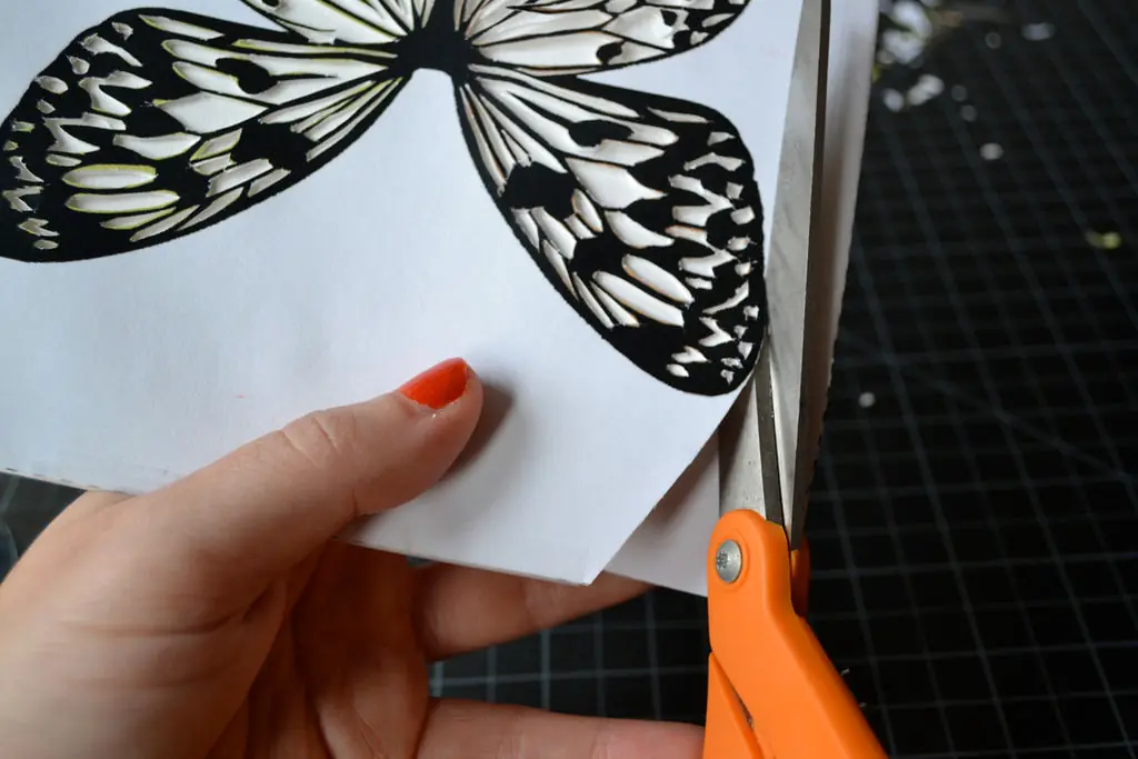 marco con mariposa de papel