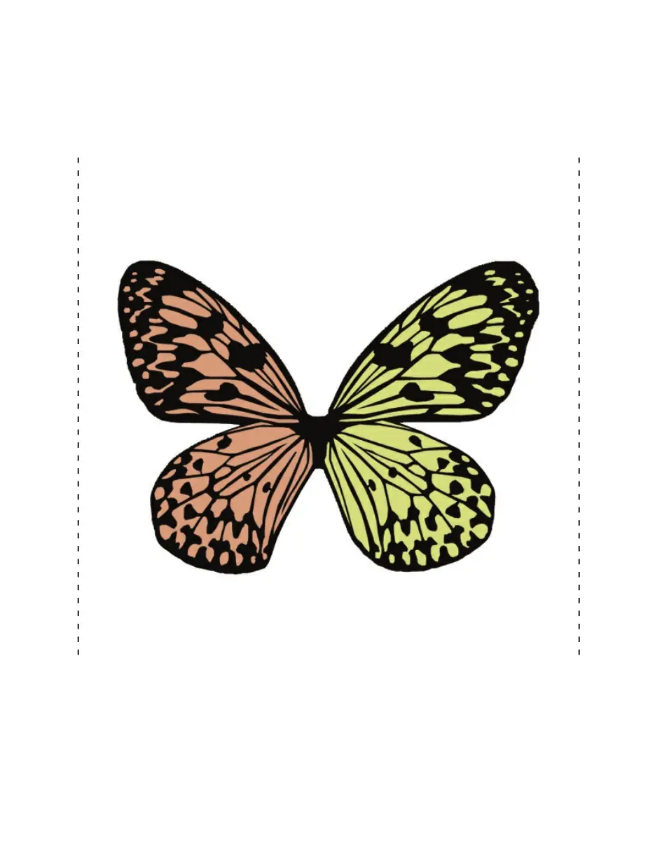 marco con mariposa de papel