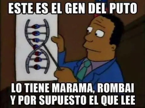 humor feministico