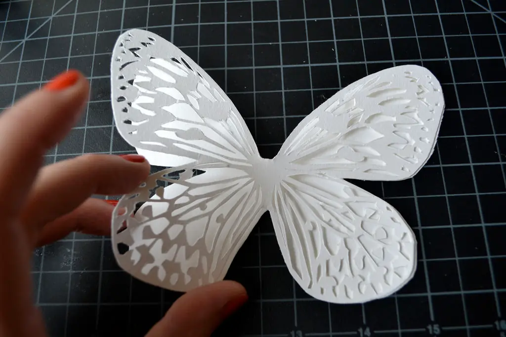 mariposa