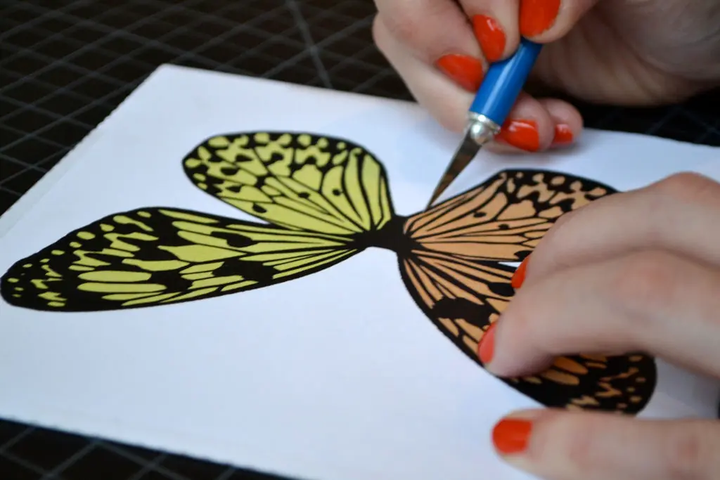 mariposa