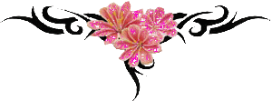 mariposa