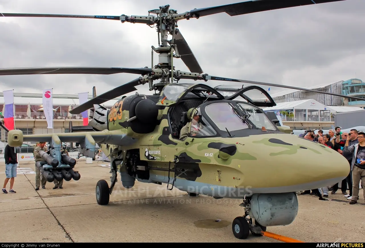 k 52 alligator