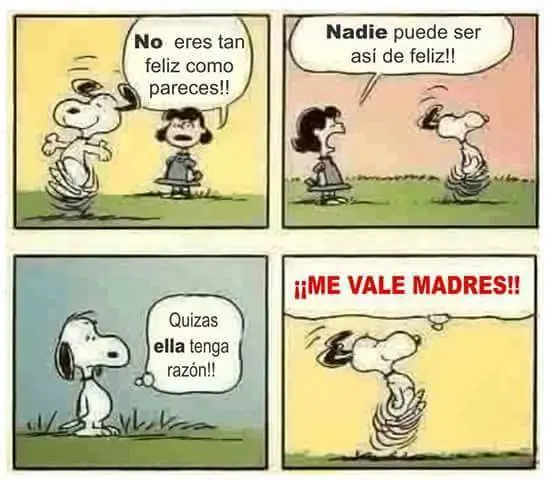 humor feministico