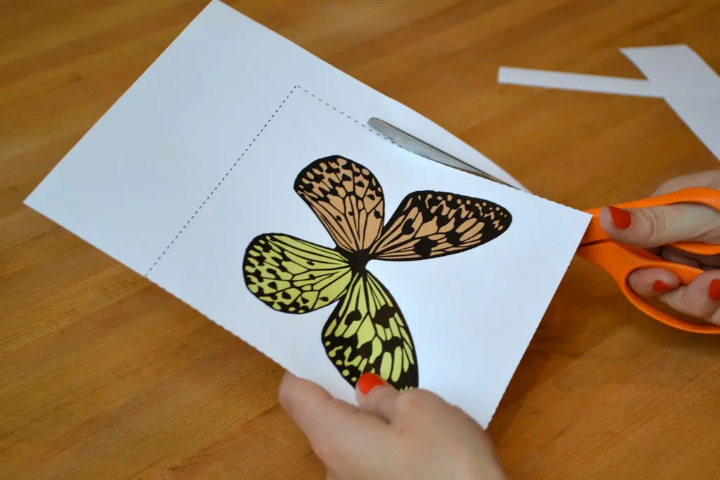 marco con mariposa de papel