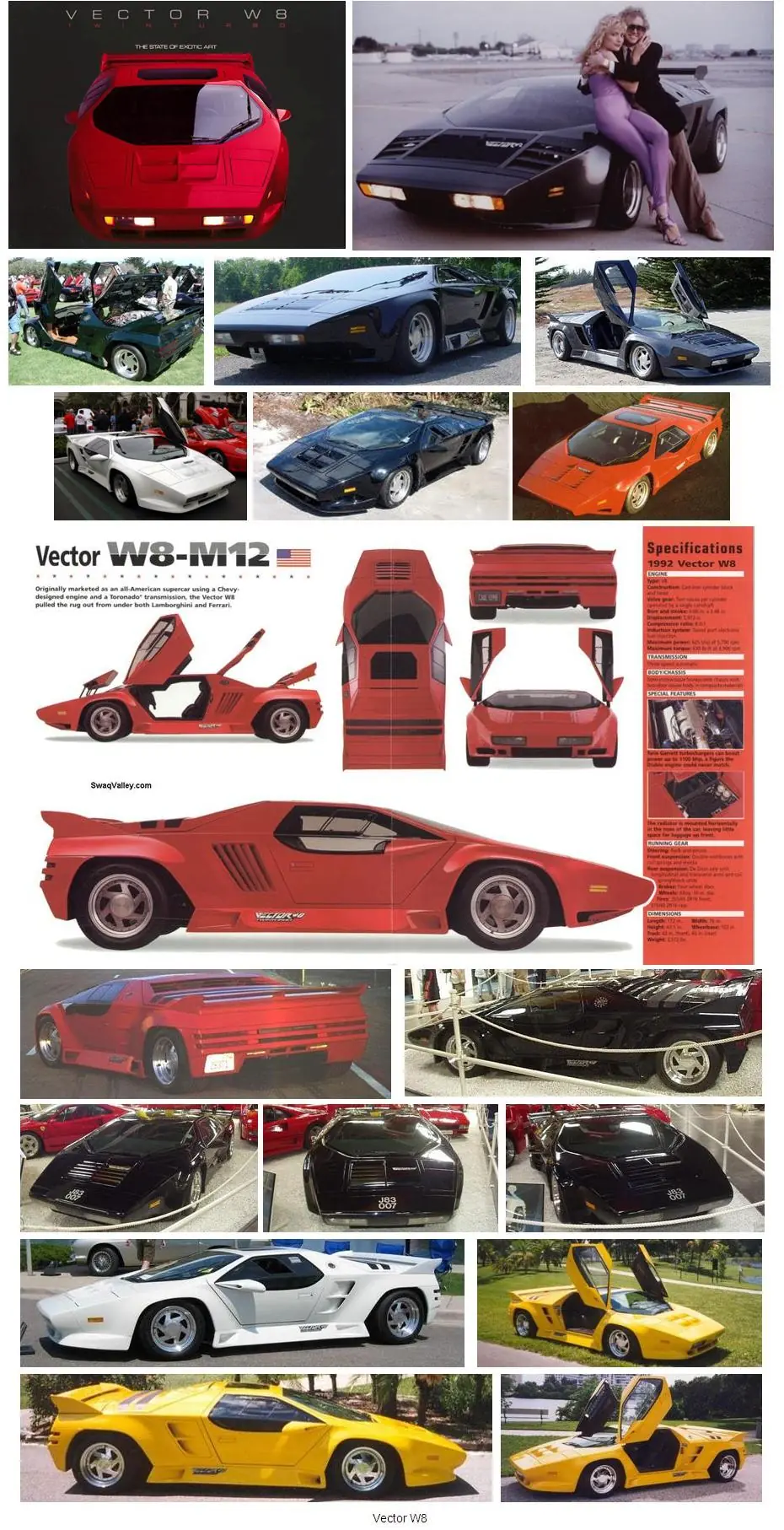 vector