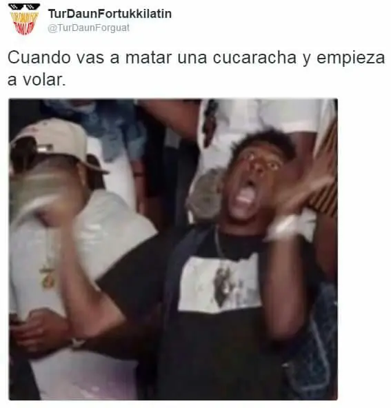 Qué es Movavi?