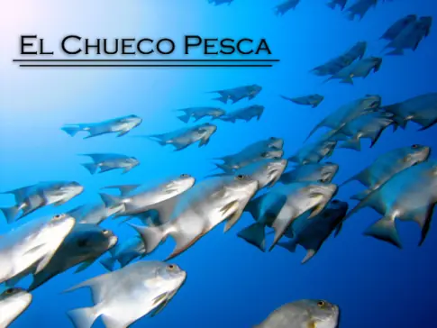 De Pesca En Claromeco