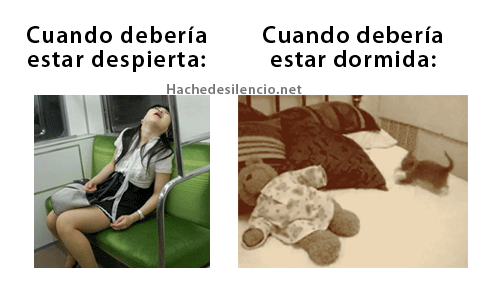 alegre