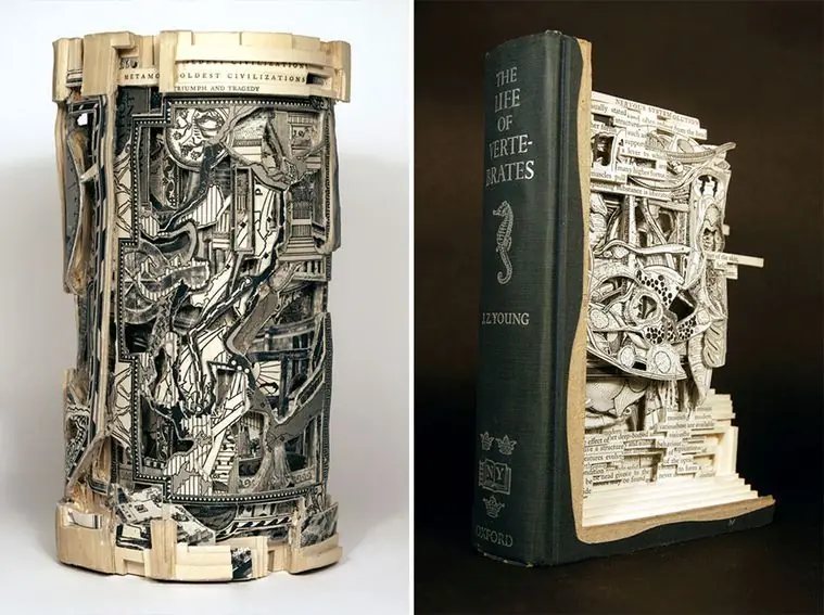 Cirujano de libros, los talla con instrumentos de cirugía