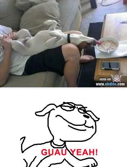 chistosos