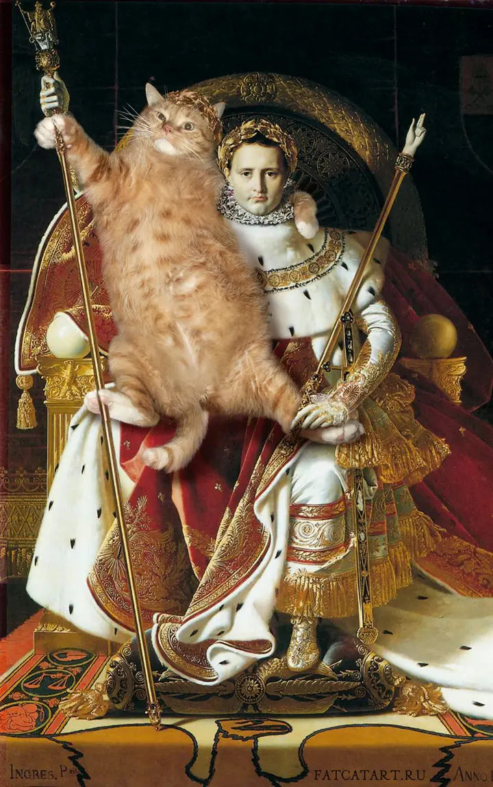De gato callejero a artista consagrado