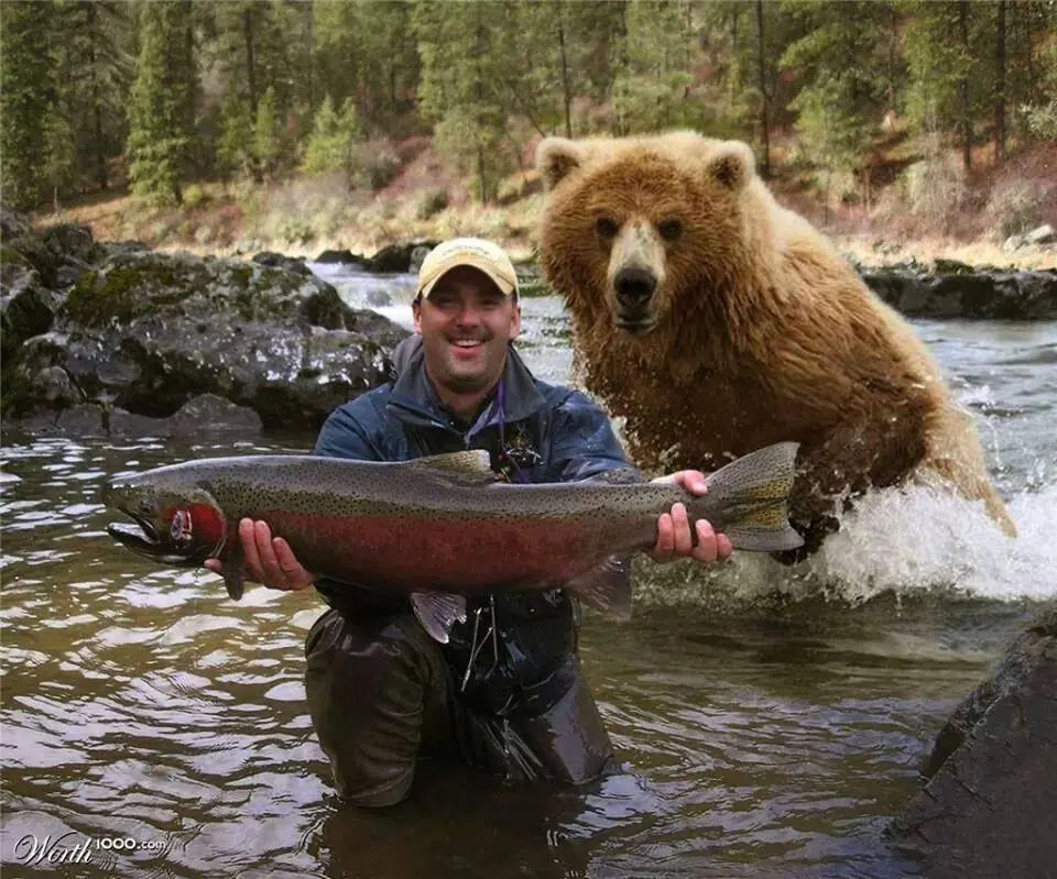 +10 seguro te gustara imagenes graciosas y gifs