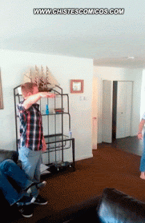 +10 seguro te gustara imagenes graciosas y gifs