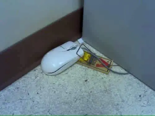 Hoy es Martes, buen día para seguir riendo con estos chistes