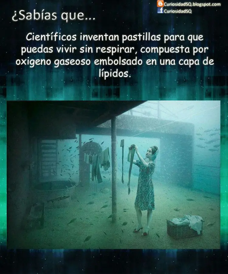 cosas que seguro no sabias +cosas de yapa [megapost]